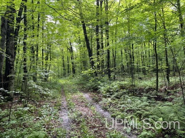 40-acres New DNR Road Crystal Falls, MI 49920 - Photo 1 of 46