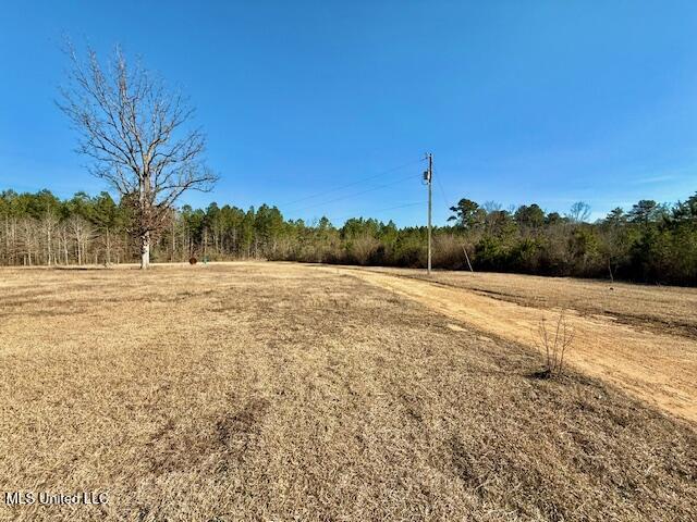 3369 Kinder Trail Southeast Ruth, MS 39662 - Photo 39 of 43 IMG_6484 (1)