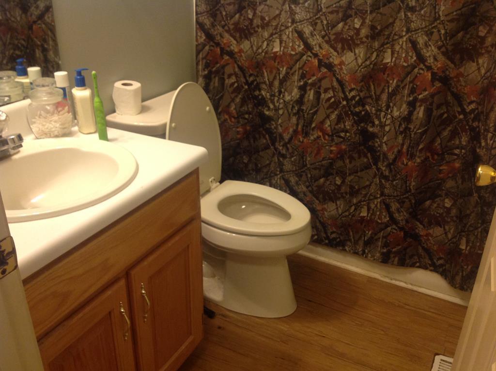356 Elam Church Road Gray, GA 31032 - Photo 21 of 28 a bathroom with a sink and a toilet