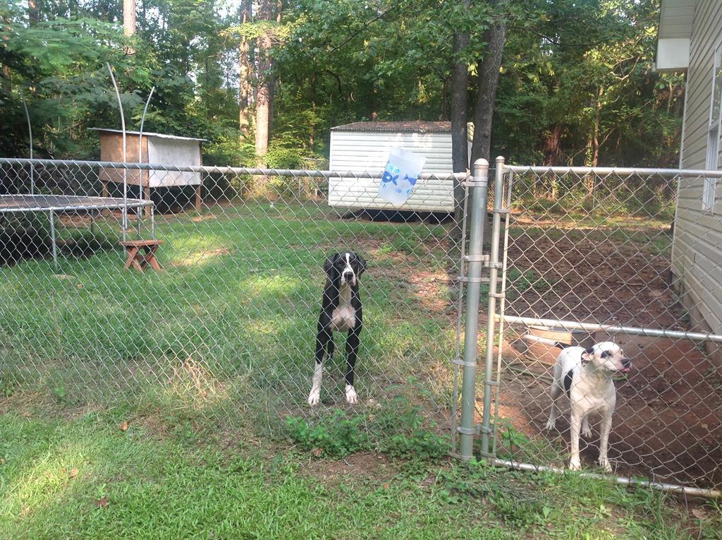 356 Elam Church Road Gray, GA 31032 - Photo 26 of 28 a backyard of a house with lots of green space