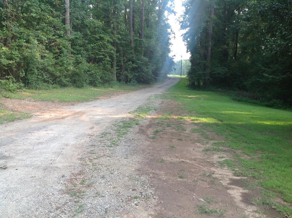 356 Elam Church Road Gray, GA 31032 - Photo 27 of 28 a view of a yard with a trees