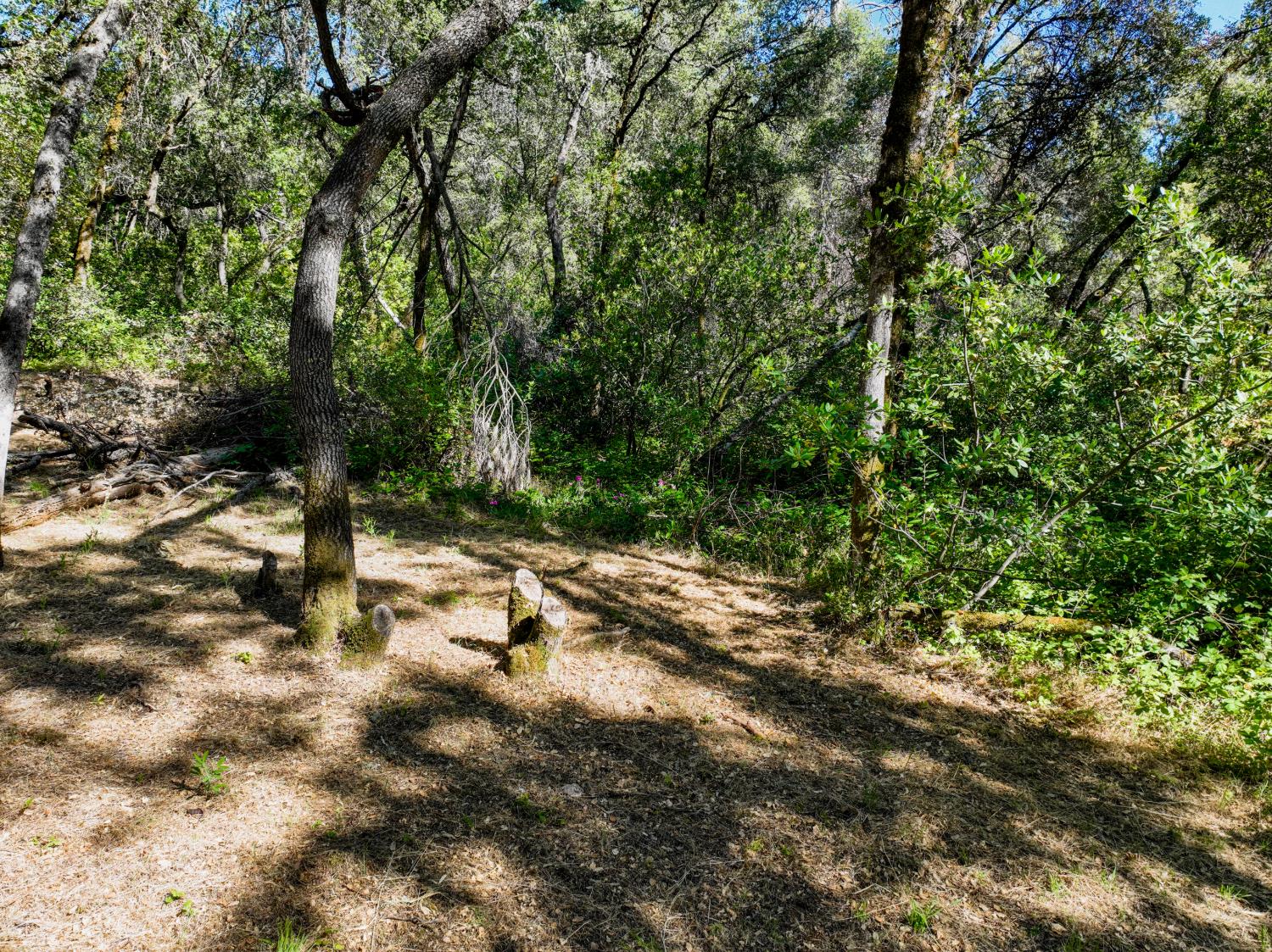 16970 Southridge Road Penn Valley, CA 95946 - Photo 11 of 45