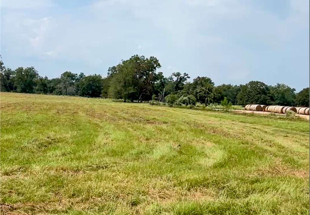 46 Fm 2548 Street East Midway, TX 75852 - Photo 11 of 31 a view of a field with trees in the background