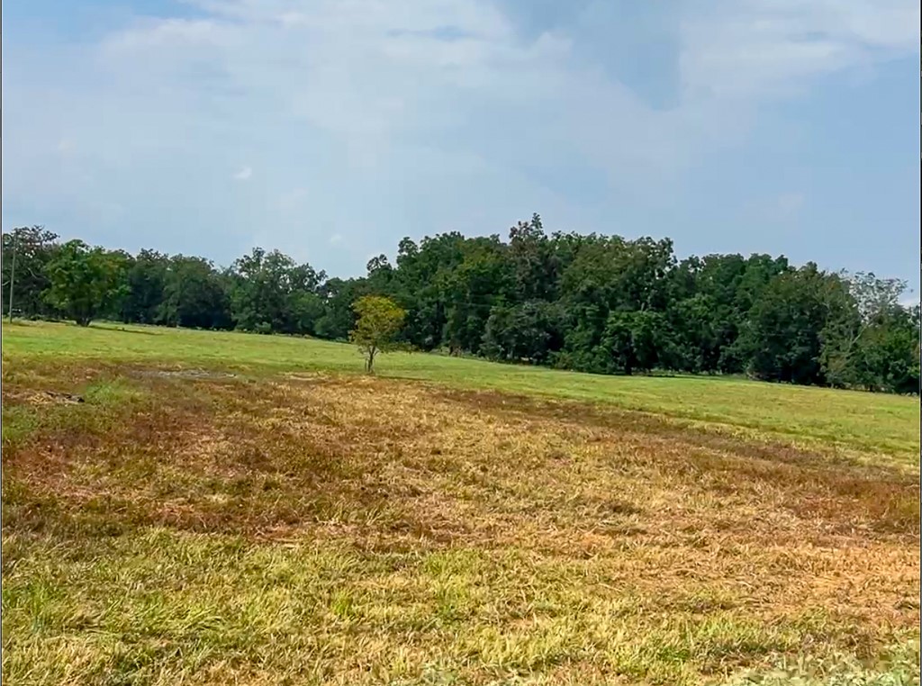 46 Fm 2548 Street East Midway, TX 75852 - Photo 13 of 31 a view of a field with an trees in the background