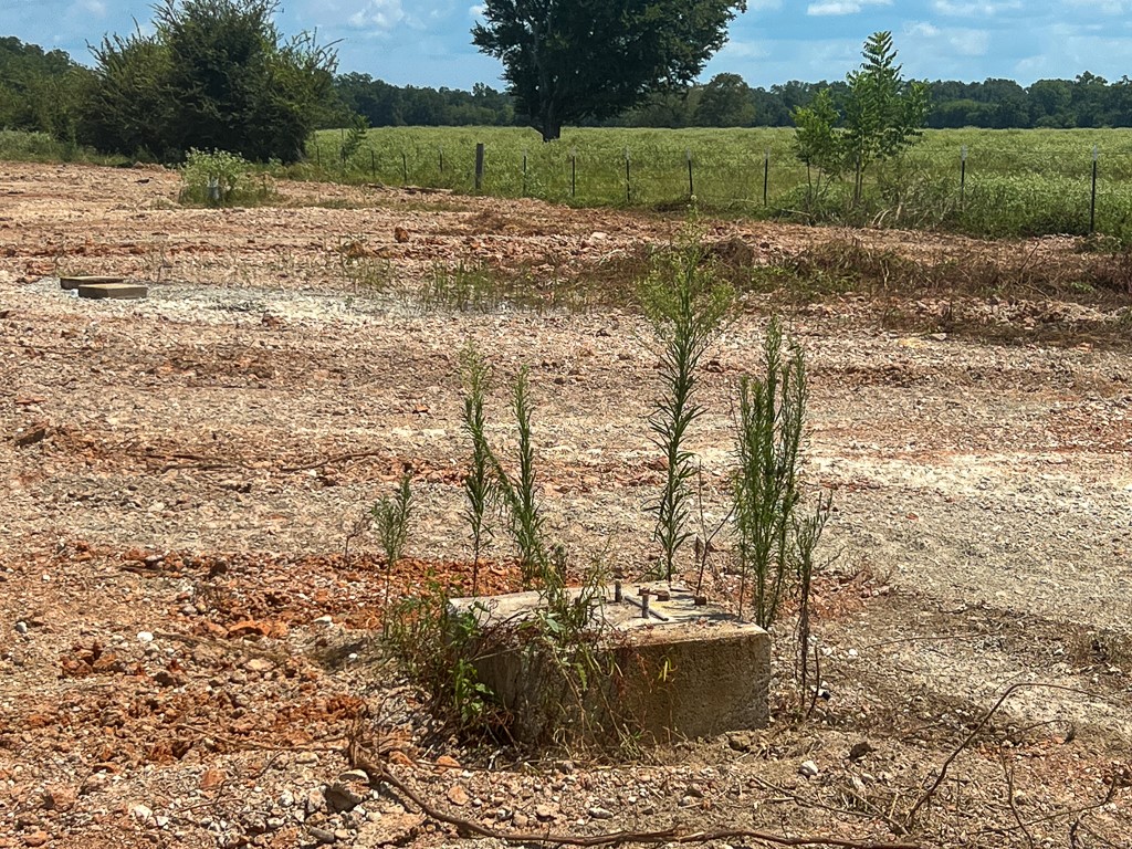 46 Fm 2548 Street East Midway, TX 75852 - Photo 21 of 31 a view of a lake view