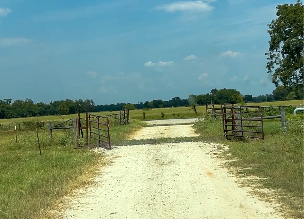 46 Fm 2548 Street East Midway, TX 75852 - Photo 27 of 31 a view of a lake with houses in the background