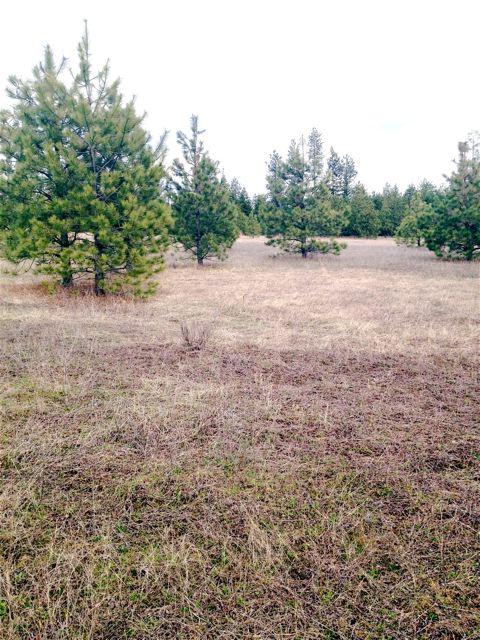 Nna East Gotham Bay Road Harrison, ID 83833 - Photo 1 of 1 Main