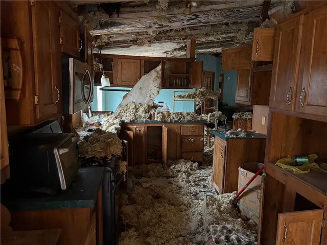 a view of a wooden house with a potted plant