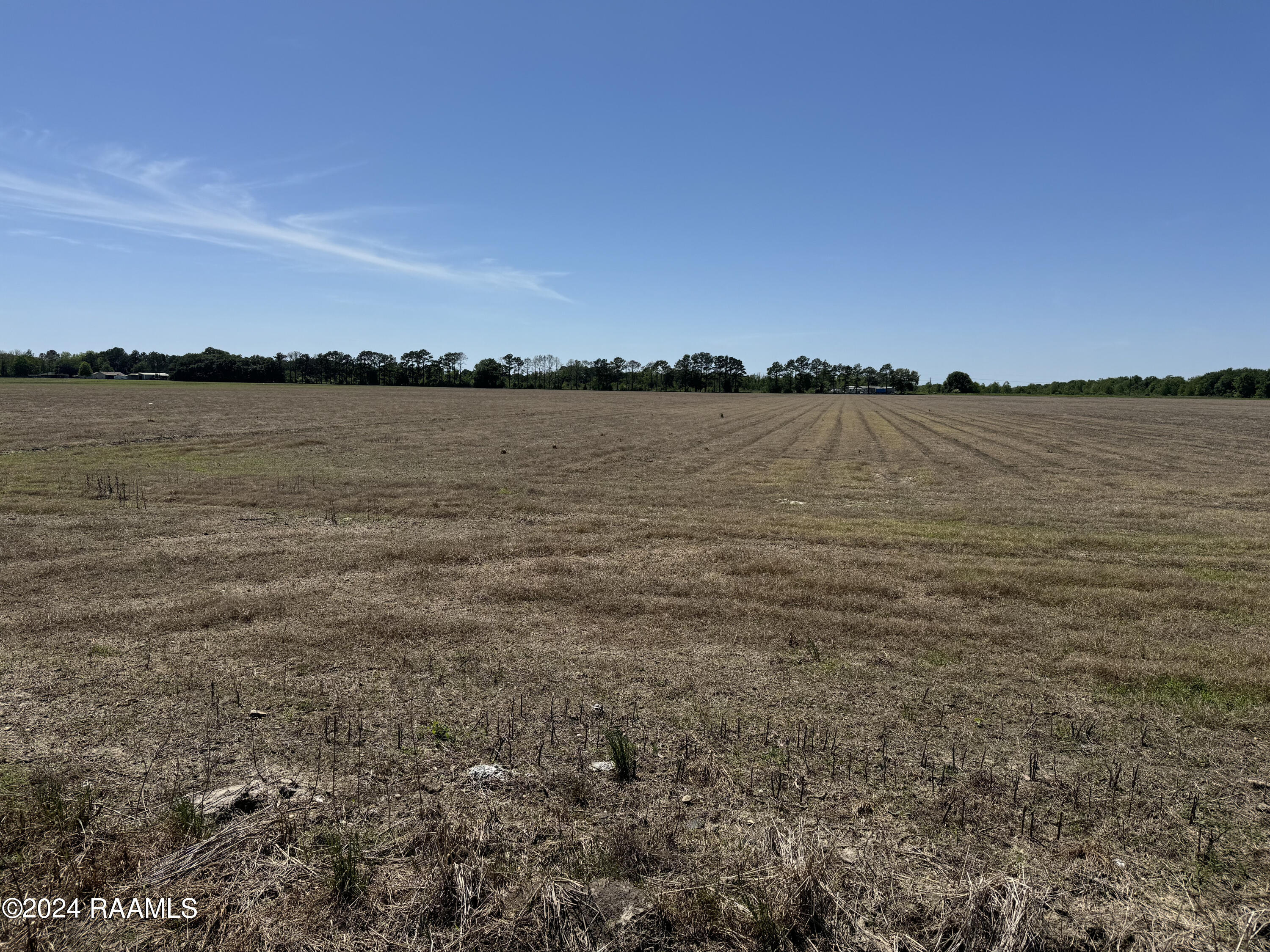 Tbd Hungary Road Duson, LA 70529 - Photo 3 of 6