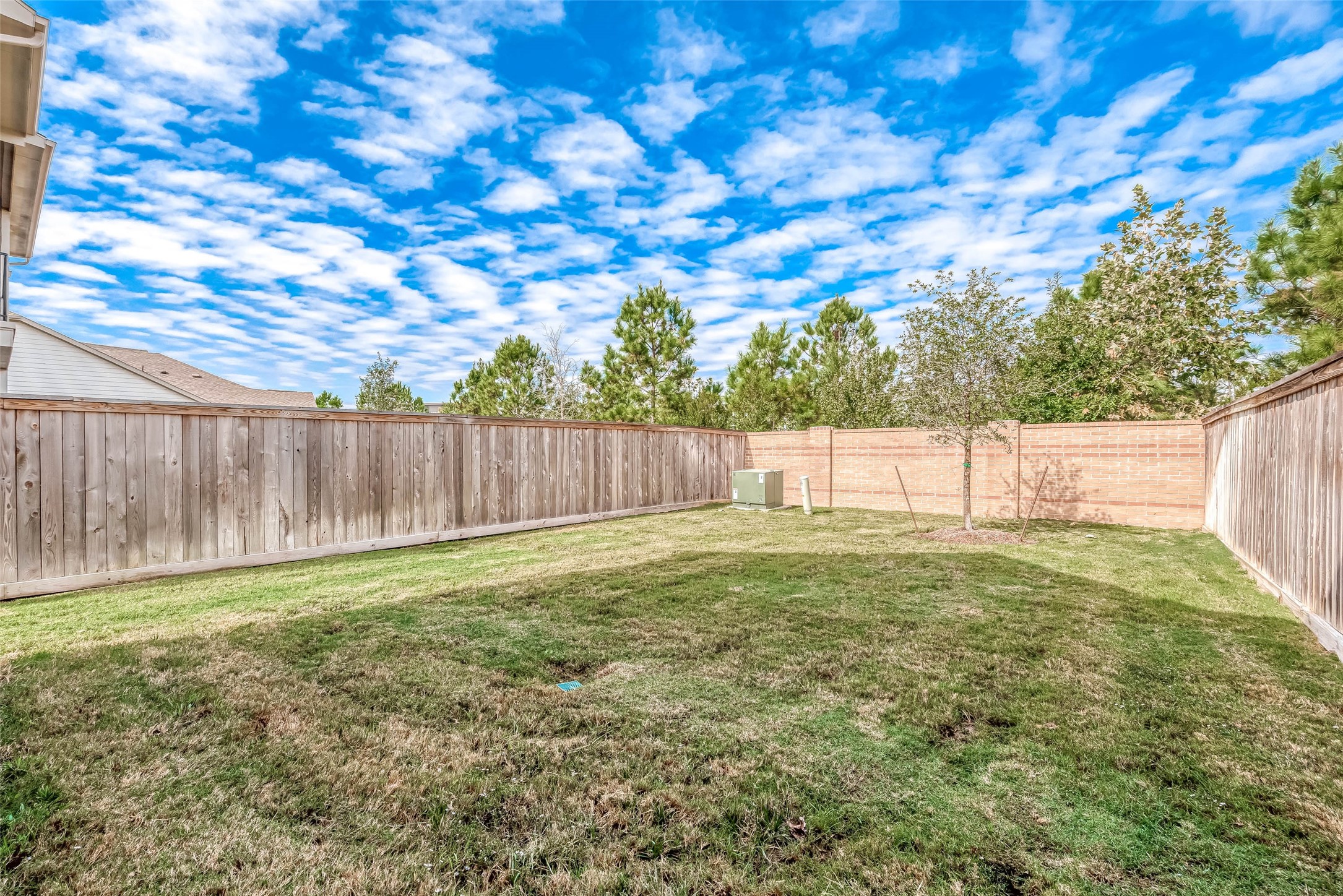 16111 Northern Cardinal Lane Cypress, TX 77433 - Photo 23 of 29 a view of a backyard with wooden fence