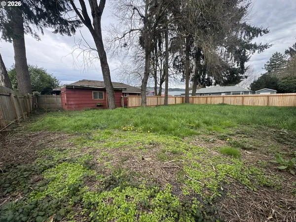 a view of backyard with large trees and wooden fence