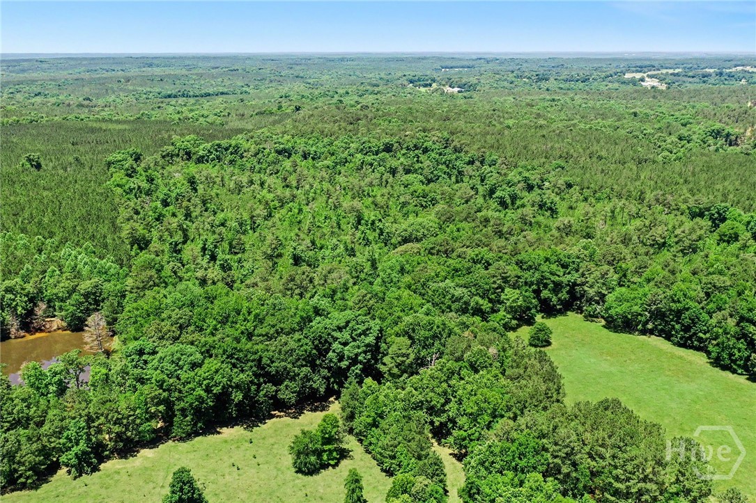 X0-x0 Court Ground Road Rayle, GA 30660 - Photo 7 of 15