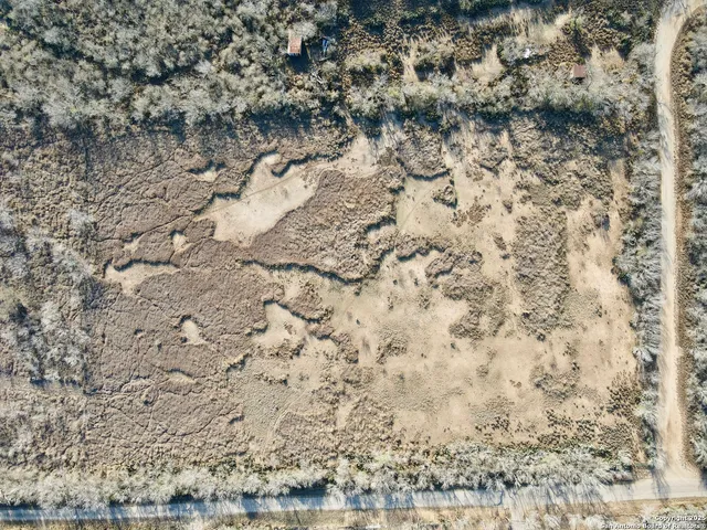 a view of a dry yard