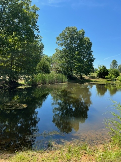2377 Grays Bend Road Centerville, TN 37033 - Photo 5 of 16