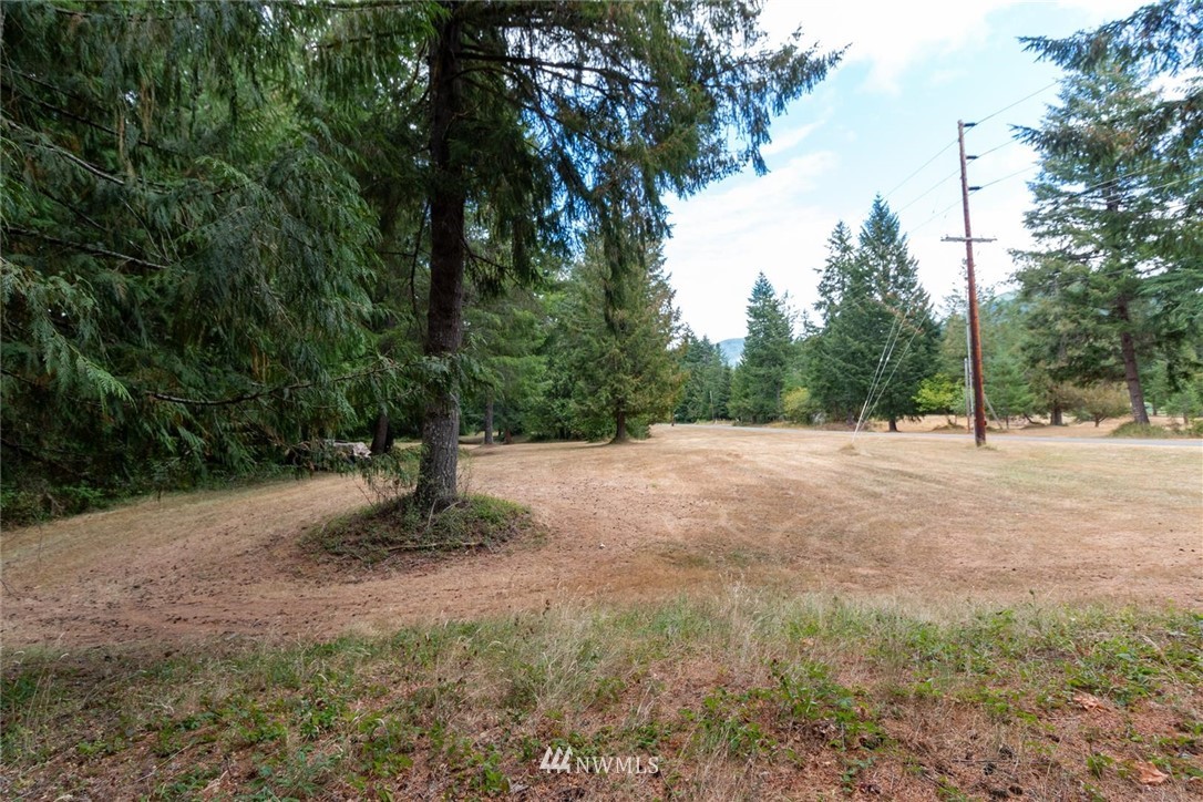 253 Baker Road Randle, WA 98377 - Photo 25 of 40 Gallery Image 25