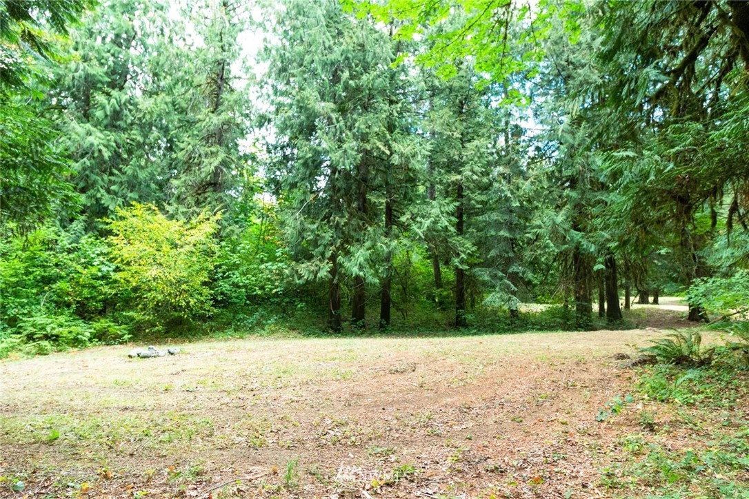 253 Baker Road Randle, WA 98377 - Photo 26 of 40 Gallery Image 26