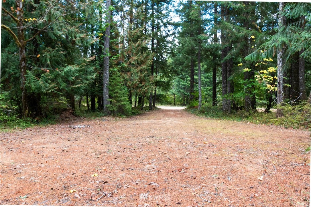 253 Baker Road Randle, WA 98377 - Photo 38 of 40 Gallery Image 38