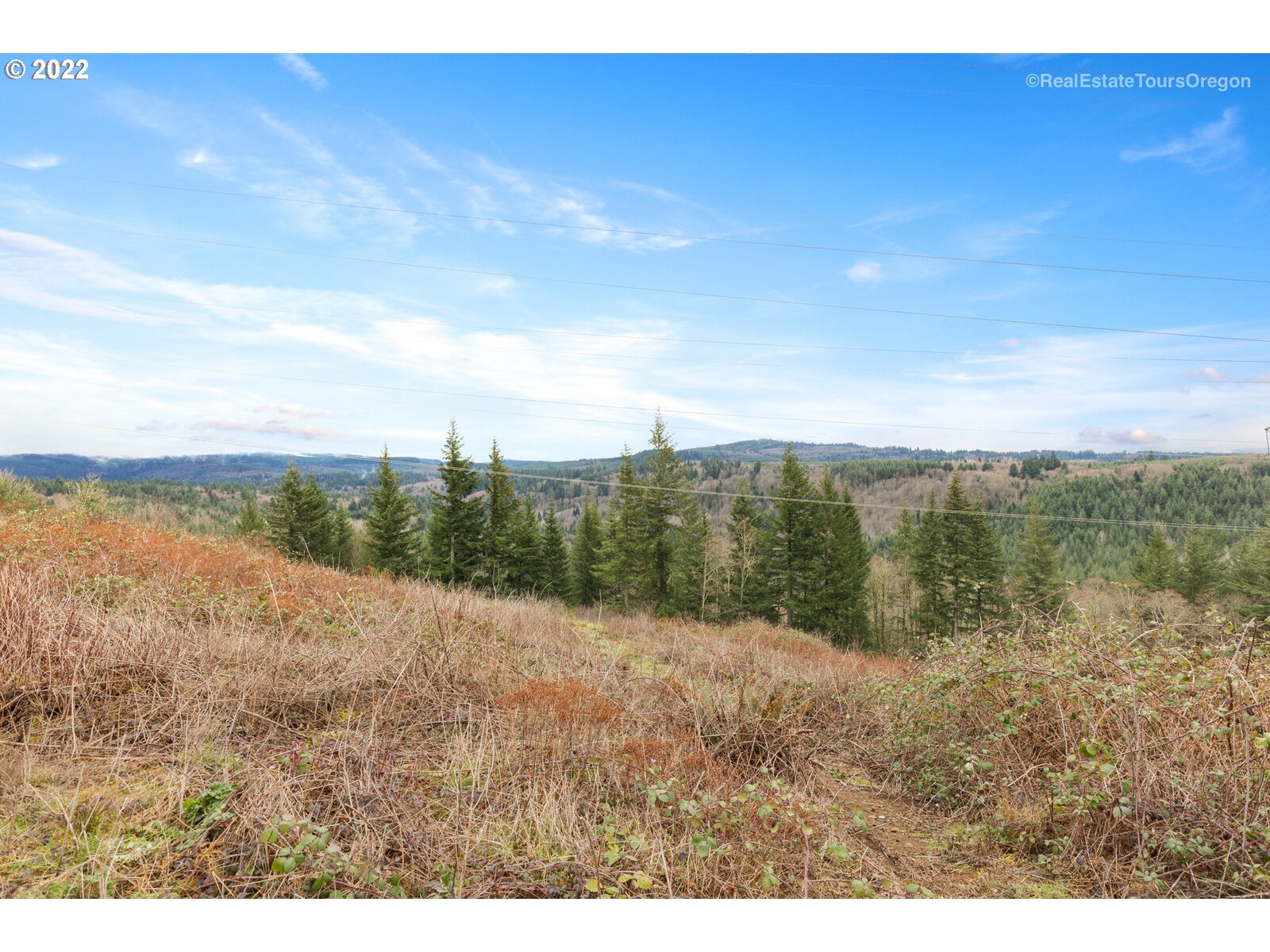 48780 Southeast Baty Road Sandy, OR 97055 - Photo 29 of 32 a view of a yard with an ocean