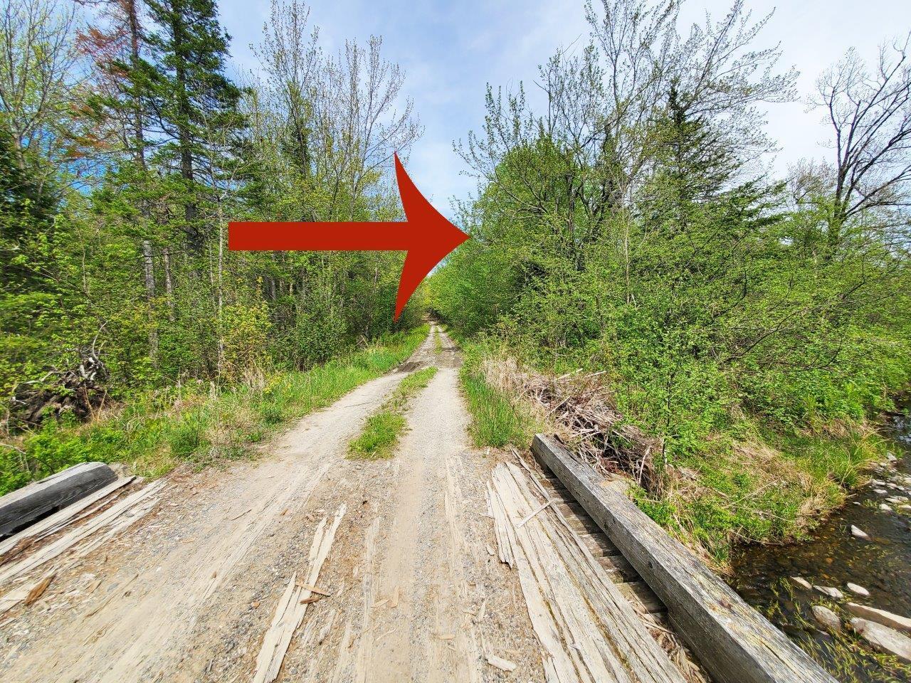 Lot 6 Pleasant Pond Road Milo, ME 04463 - Photo 14 of 38 20260523_143736 Adj_edited-1