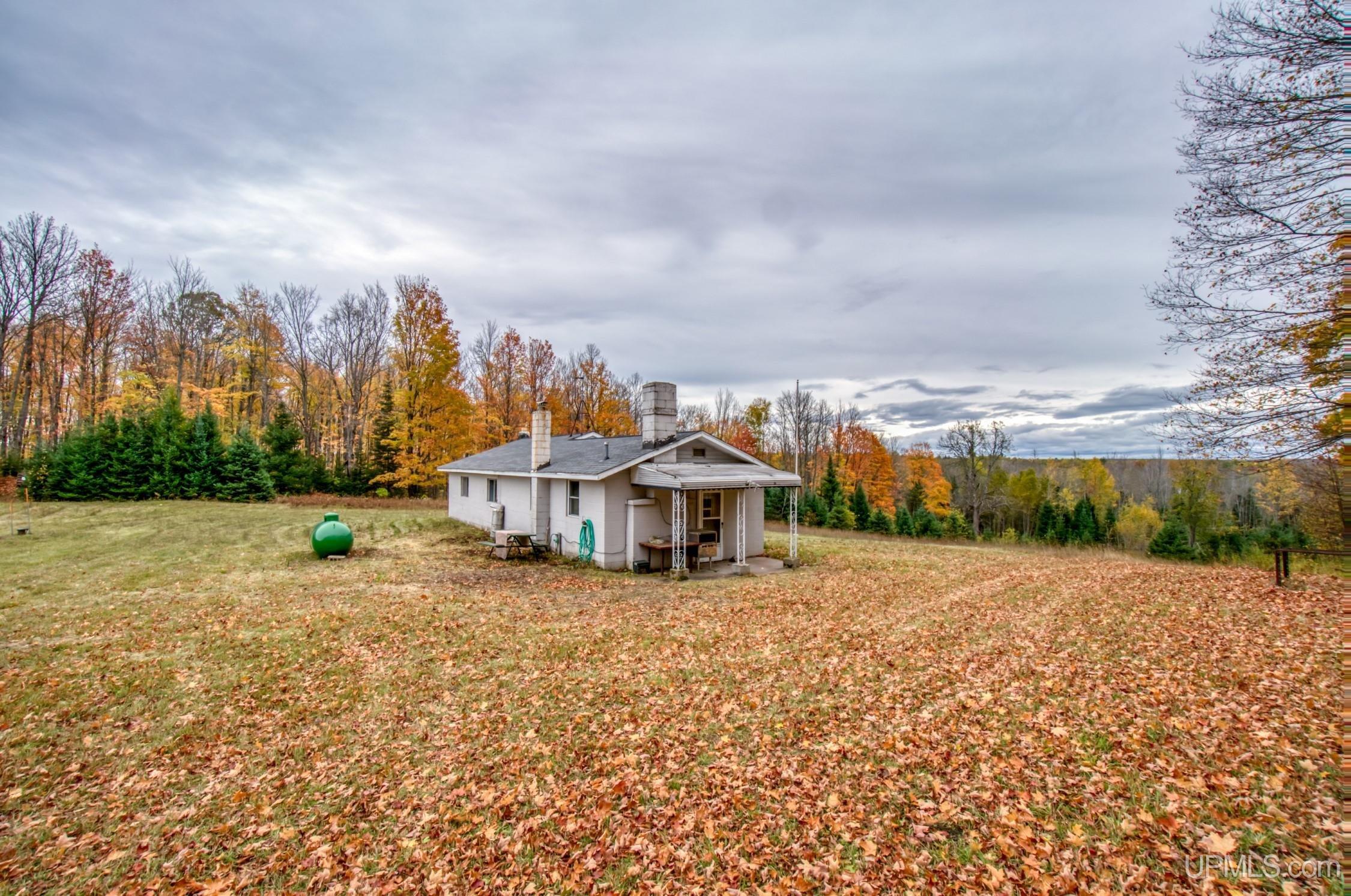 Tbd Tbd Lerza Road Sagola, MI 49881 - Photo 14 of 22