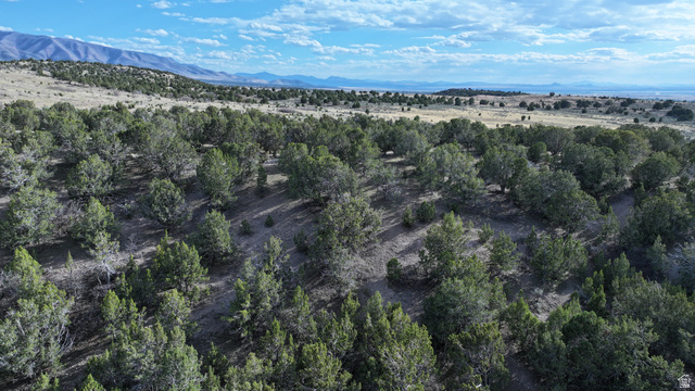 1530 East 1650 N Road Fillmore, UT 84631 - Photo 12 of 20