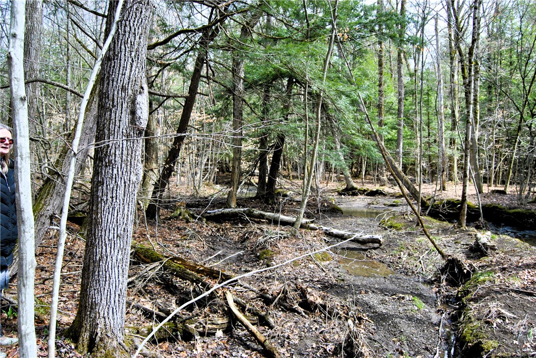 10322 Mattoon Road Prattsburgh, NY 14873 - Photo 19 of 20 You are going to love the creek!