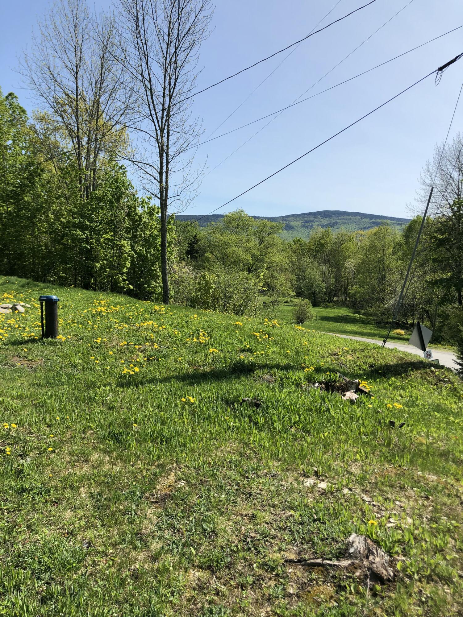 221 Shirley Road Abbot, ME 04406 - Photo 4 of 71 IMG_2996 2