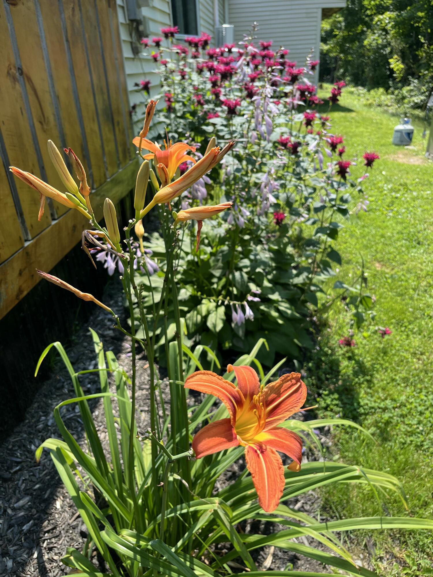 221 Shirley Road Abbot, ME 04406 - Photo 6 of 71 IMG_4094-preview