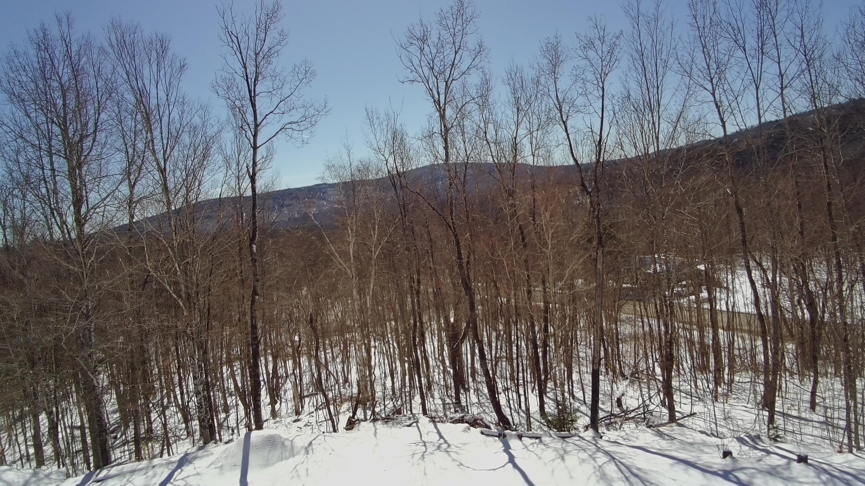 221 Shirley Road Abbot, ME 04406 - Photo 63 of 71 4670343_100DRONE_SING0566