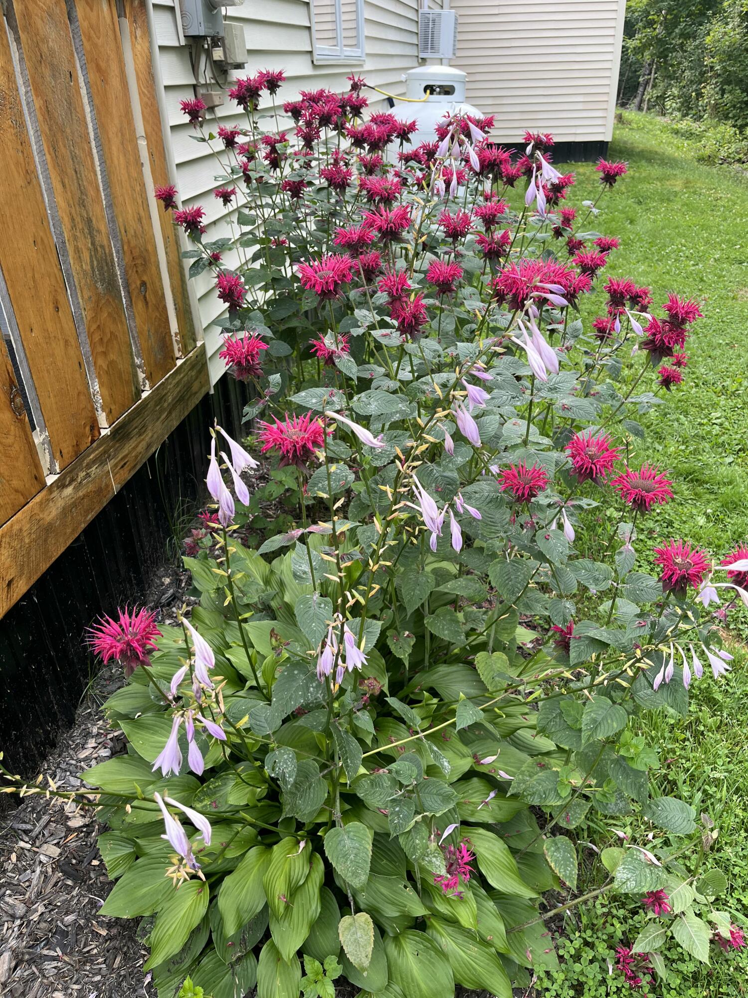 221 Shirley Road Abbot, ME 04406 - Photo 7 of 71 IMG_4128 2