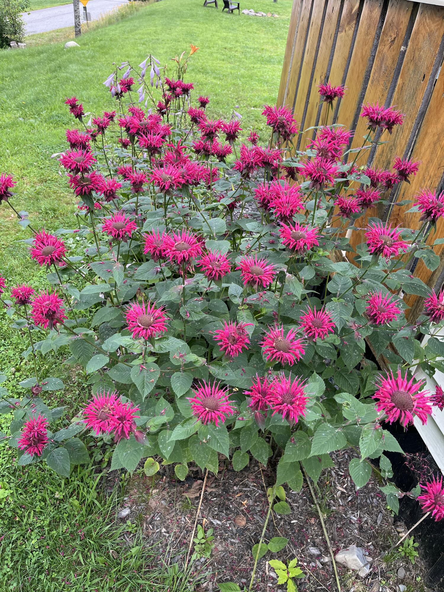 221 Shirley Road Abbot, ME 04406 - Photo 8 of 71 IMG_4126 2