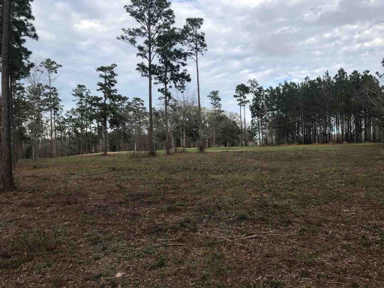 0 Blair Lane Silverhill, AL 36576 - Photo 1 of 2