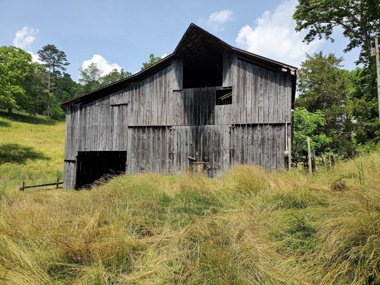482 Cabbage Road Blaine, TN 37709 - Photo 35 of 40 Gallery Image 35