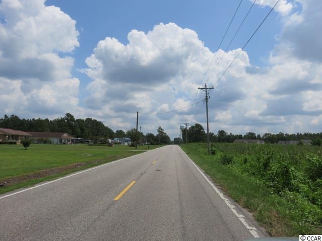 14.56-acres Juniper Bay Road Conway, SC 29527 - Photo 14 of 17 Gallery Image 14
