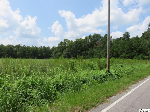 14.56-acres Juniper Bay Road Conway, SC 29527 - Photo 17 of 17 Gallery Image 17