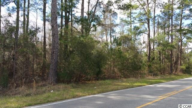 14.56-acres Juniper Bay Road Conway, SC 29527 - Photo 3 of 17 Gallery Image 3