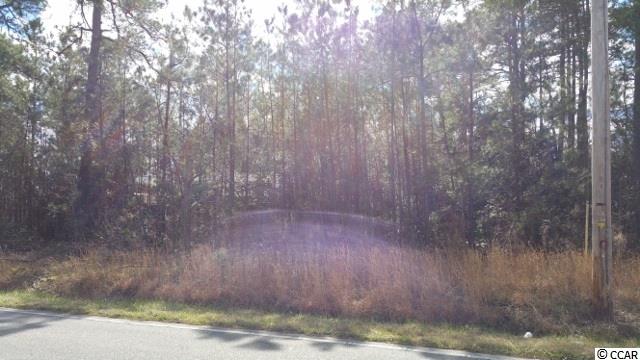 14.56-acres Juniper Bay Road Conway, SC 29527 - Photo 5 of 17 Gallery Image 5