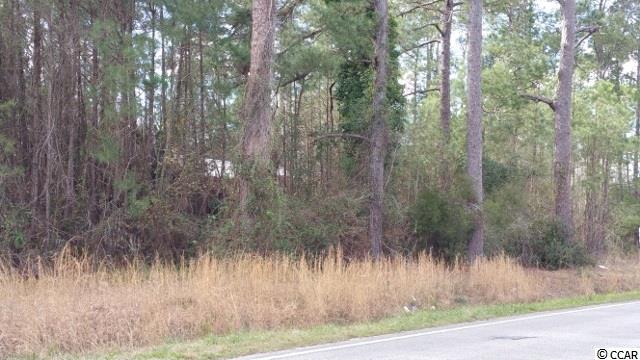 14.56-acres Juniper Bay Road Conway, SC 29527 - Photo 8 of 17 Gallery Image 8