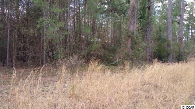 14.56-acres Juniper Bay Road Conway, SC 29527 - Photo 10 of 17 Gallery Image 10