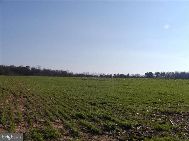 554 Center Hall Road Cochranville, PA 19330 - Photo 5 of 8