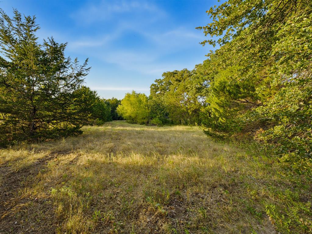 2403 County Road 2224 Decatur, TX 76234 - Photo 37 of 38 Gallery Image 37