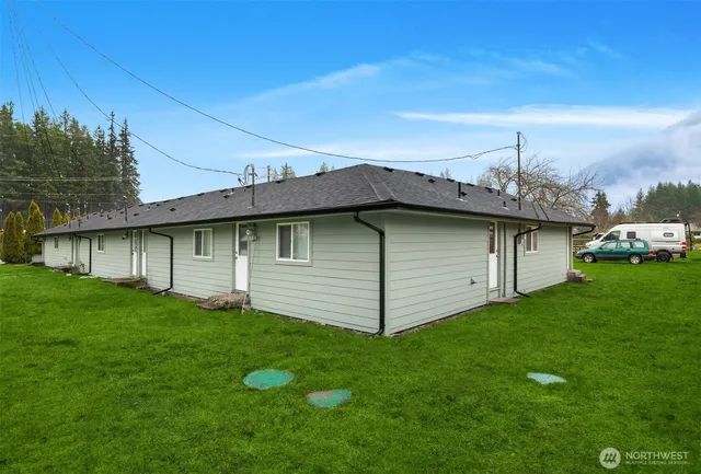 a view of a backyard with plants and a large tree