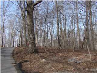 269 Northwest Ross Hollow Road Clinton, TN 37716 - Photo 1 of 1 Primary Photo