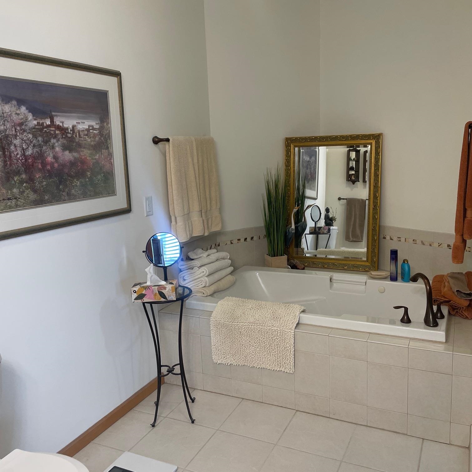 6030 East Superior Street, Unit 309 Duluth, MN 55804 - Photo 10 of 16 Master Bath