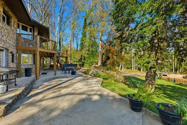 a view of a yard with plants and large trees