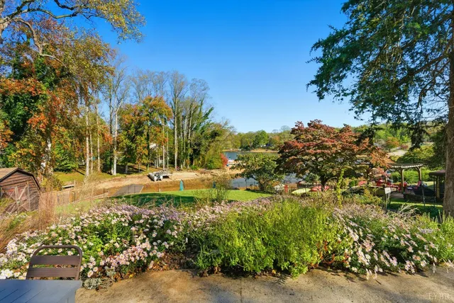 a view of a park with large trees
