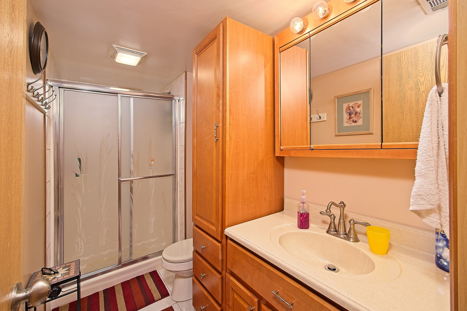 902 Wilson Court Zion, IL 60099 - Photo 25 of 30 a bathroom with a sink and a mirror