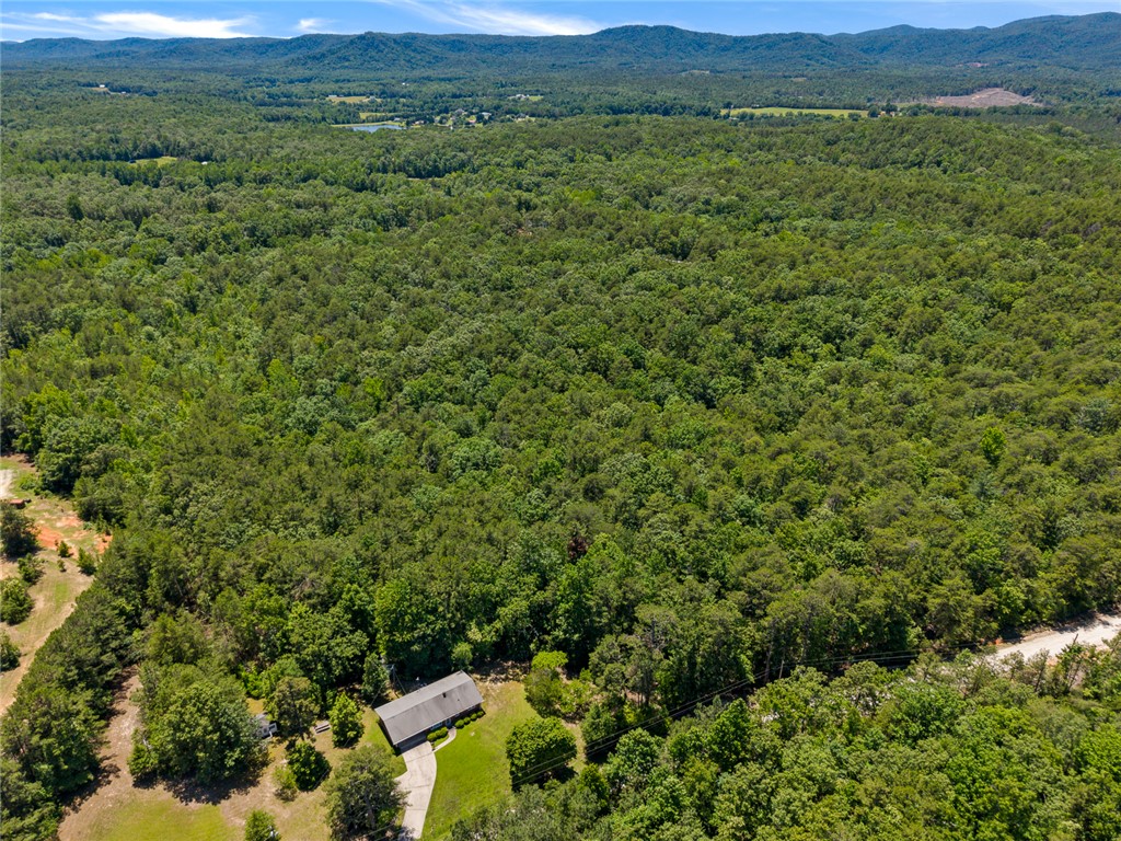 0 Pine Mountain Road Tamassee, SC 29686 - Photo 7 of 15