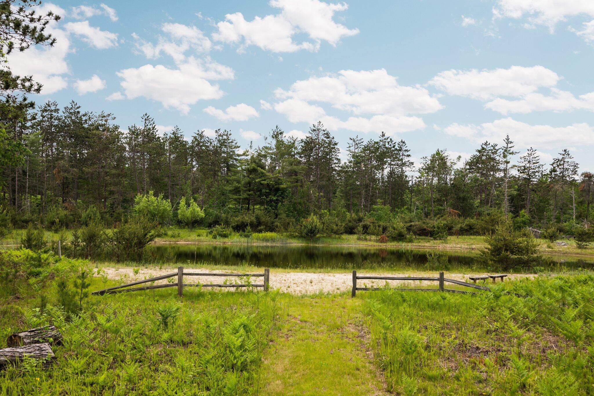 6612 Old Vanderbilt Road Vanderbilt, MI 49795 - Photo 37 of 56 47-web-or-mls-279A2342