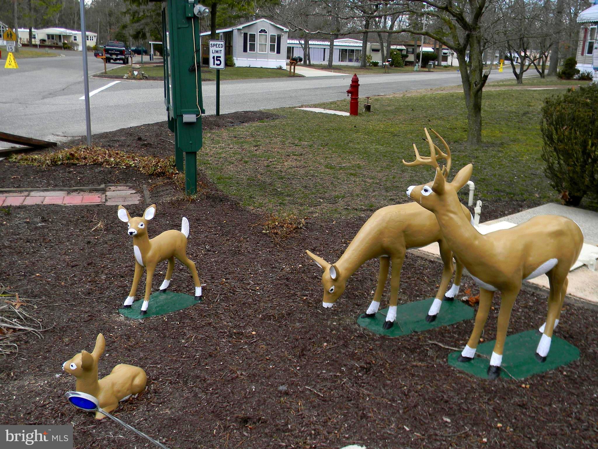 83 Holly Court Tabernacle, NJ 08088 - Photo 42 of 44 a backyard of a house with table and chairs